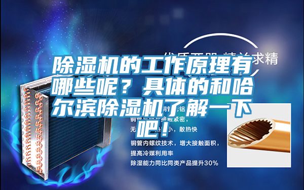 除濕機(jī)的工作原理有哪些呢？具體的和哈爾濱除濕機(jī)了解一下吧！