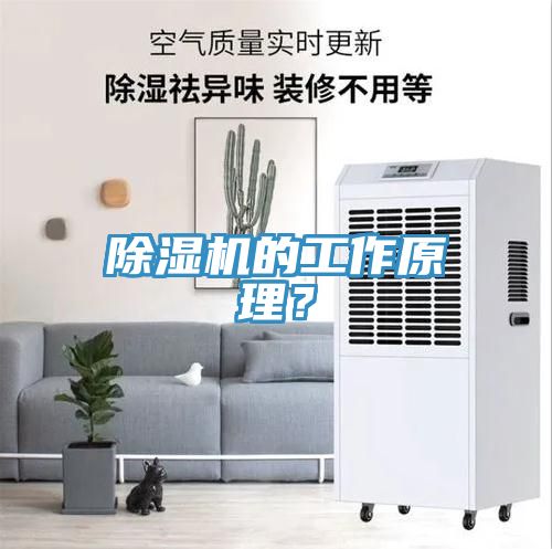 除濕機(jī)的工作原理？
