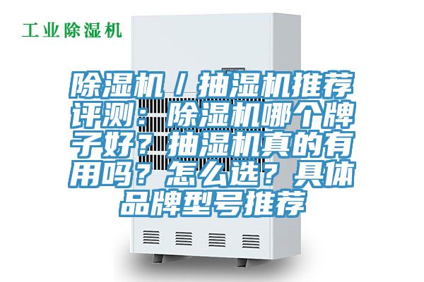 除濕機(jī)／抽濕機(jī)推薦評測：除濕機(jī)哪個牌子好？抽濕機(jī)真的有用嗎？怎么選？具體品牌型號推薦