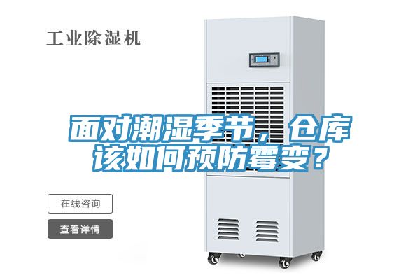 面對潮濕季節(jié)，倉庫該如何預(yù)防霉變？