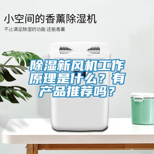 除濕新風(fēng)機(jī)工作原理是什么？有產(chǎn)品推薦嗎？