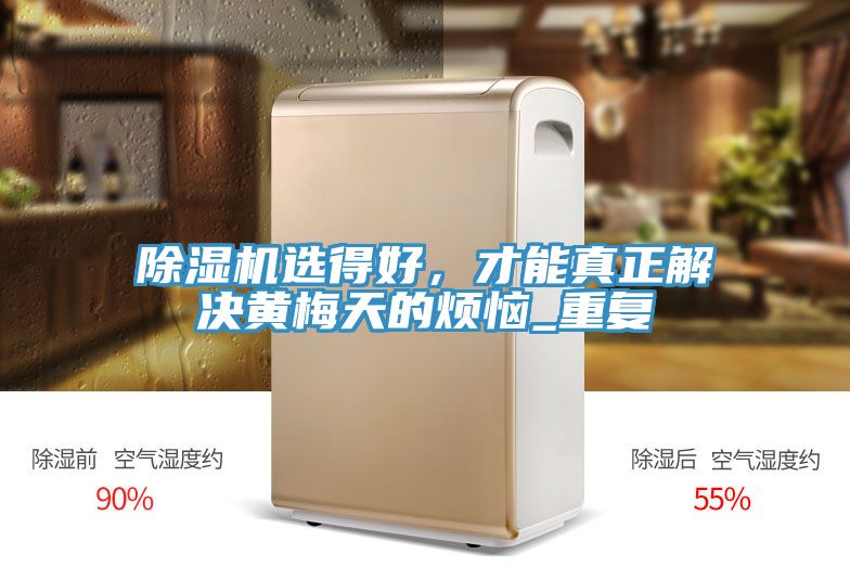 除濕機(jī)選得好，才能真正解決黃梅天的煩惱_重復(fù)