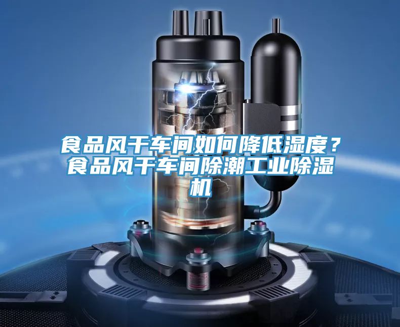 食品風(fēng)干車(chē)間如何降低濕度？食品風(fēng)干車(chē)間除潮工業(yè)除濕機(jī)