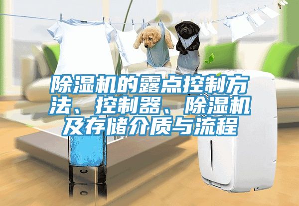 除濕機(jī)的露點(diǎn)控制方法、控制器、除濕機(jī)及存儲介質(zhì)與流程