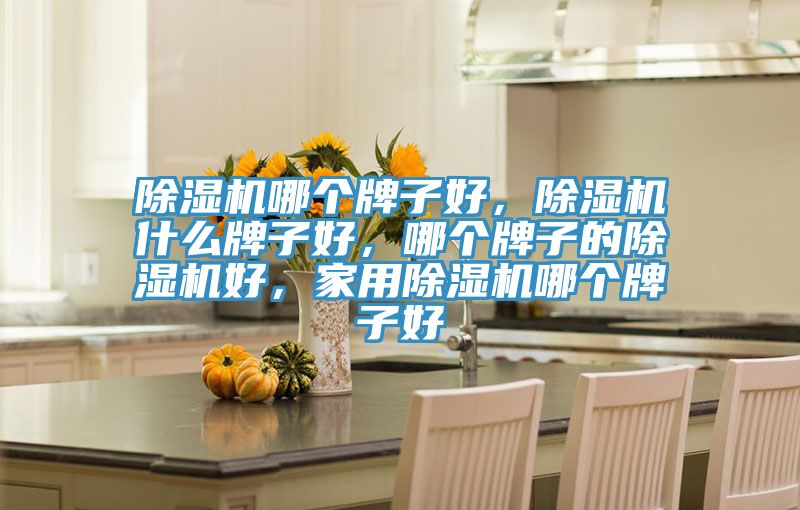 除濕機(jī)哪個牌子好，除濕機(jī)什么牌子好，哪個牌子的除濕機(jī)好，家用除濕機(jī)哪個牌子好
