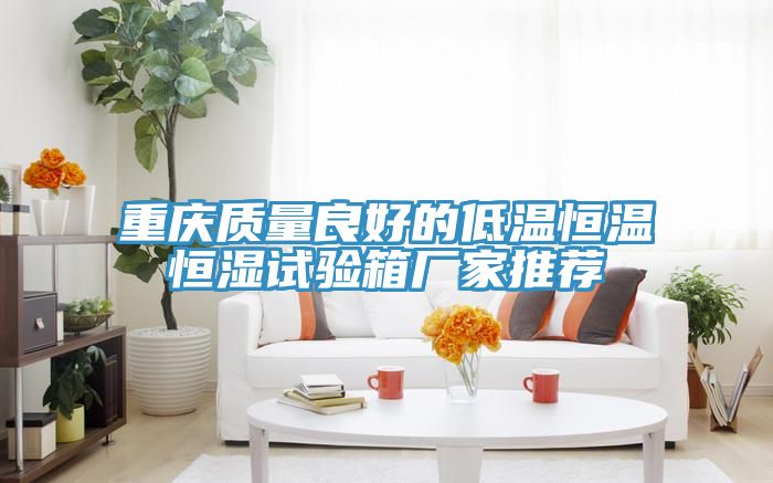 重慶質(zhì)量良好的低溫恒溫恒濕試驗(yàn)箱廠(chǎng)家推薦