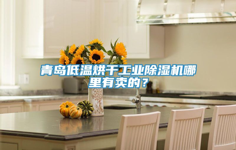 青島低溫烘干工業(yè)除濕機(jī)哪里有賣的？