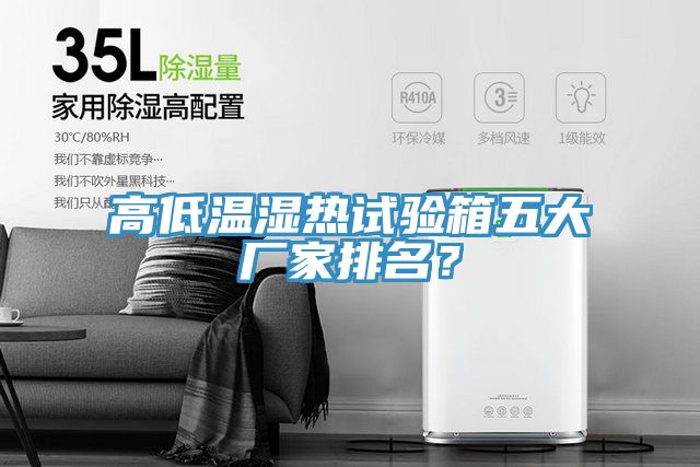 高低溫濕熱試驗箱五大廠家排名？