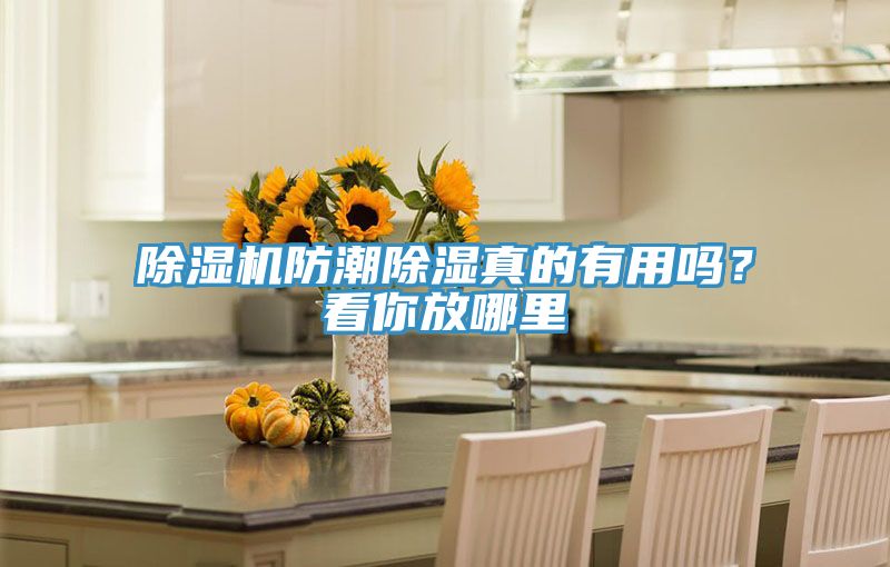 除濕機防潮除濕真的有用嗎？看你放哪里