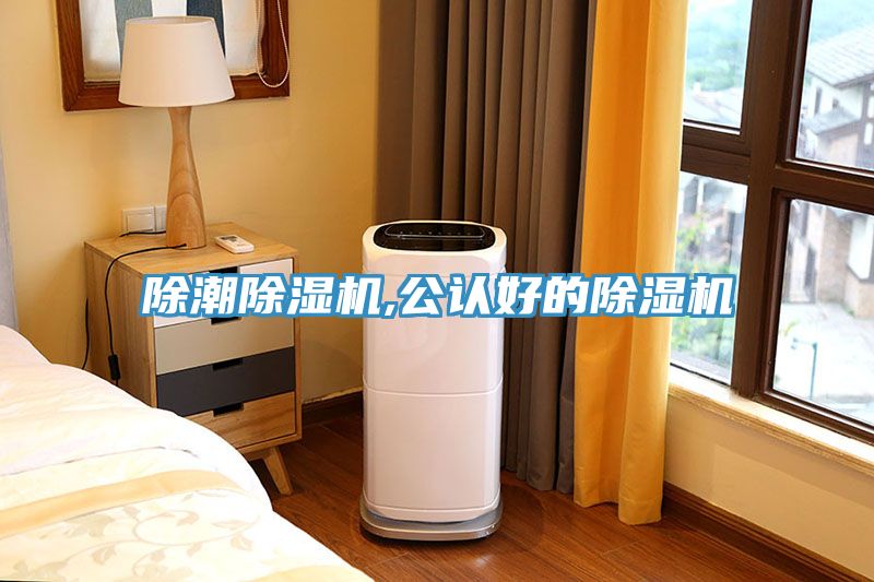 除潮除濕機,公認(rèn)好的除濕機