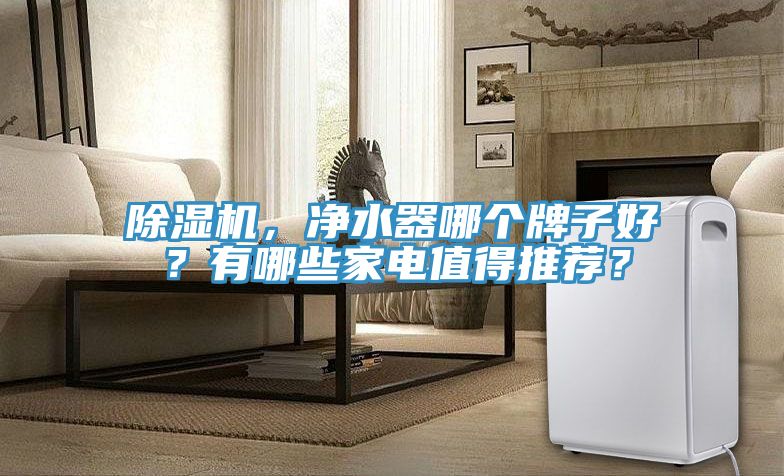 除濕機，凈水器哪個牌子好？有哪些家電值得推薦？
