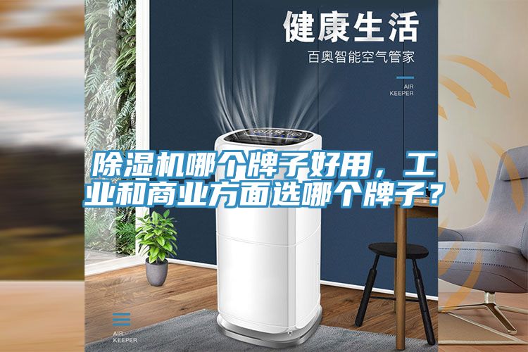 除濕機(jī)哪個牌子好用，工業(yè)和商業(yè)方面選哪個牌子？