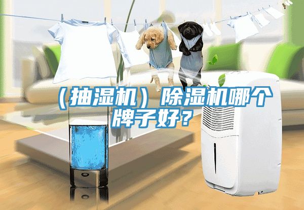 （抽濕機(jī)）除濕機(jī)哪個牌子好？