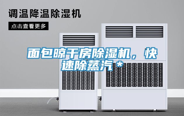 面包晾干房除濕機(jī)，快速除蒸汽＊