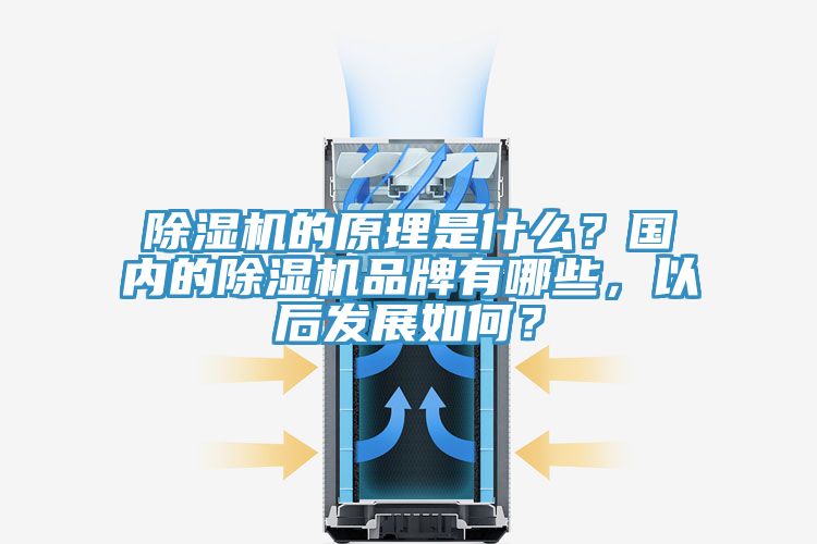 除濕機的原理是什么？國內(nèi)的除濕機品牌有哪些，以后發(fā)展如何？