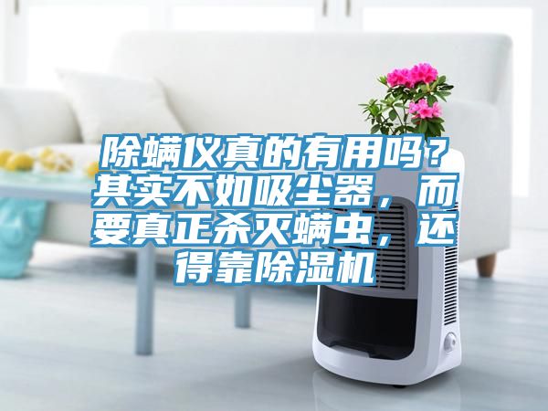除螨儀真的有用嗎？其實不如吸塵器，而要真正殺滅螨蟲，還得靠除濕機