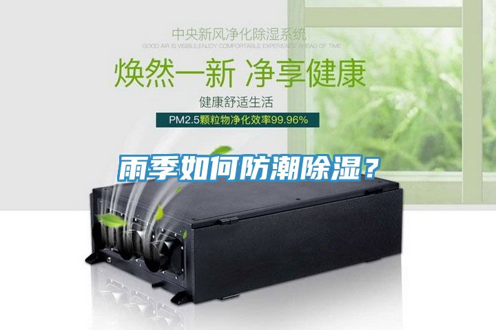 雨季如何防潮除濕？
