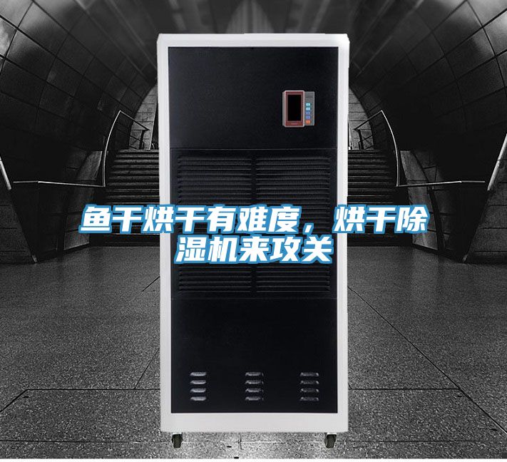 魚干烘干有難度，烘干除濕機來攻關