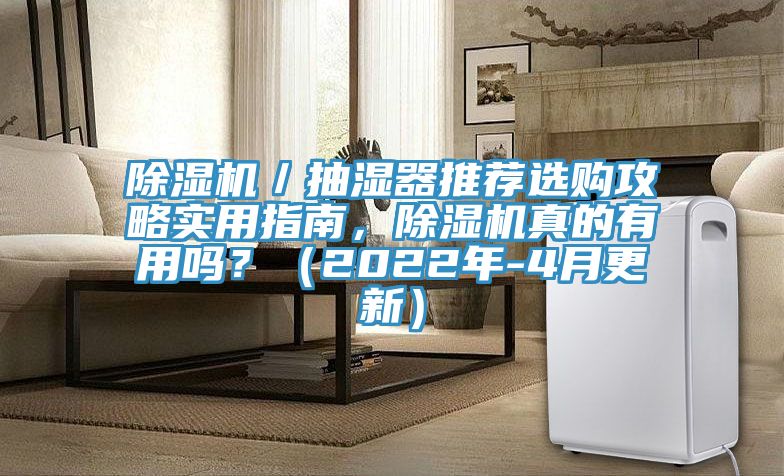 除濕機(jī)／抽濕器推薦選購攻略實用指南，除濕機(jī)真的有用嗎？（2022年-4月更新）