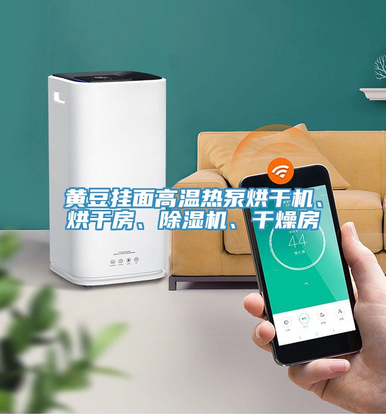 黃豆掛面高溫?zé)岜煤娓蓹C(jī)、烘干房、除濕機(jī)、干燥房