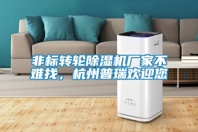 非標(biāo)轉(zhuǎn)輪除濕機廠家不難找，杭州普瑞歡迎您