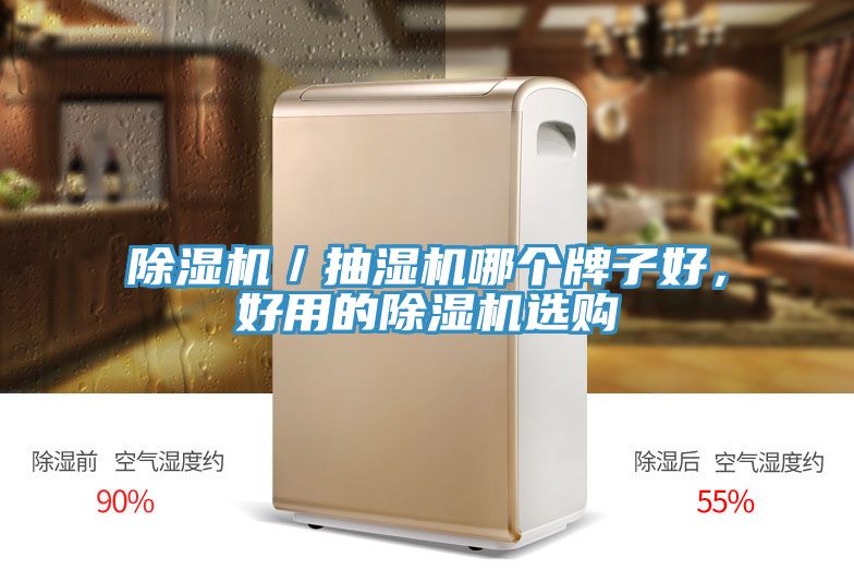 除濕機(jī)／抽濕機(jī)哪個牌子好，好用的除濕機(jī)選購