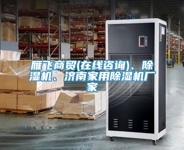 雁飛商貿(mào)(在線咨詢)、除濕機、濟南家用除濕機廠家