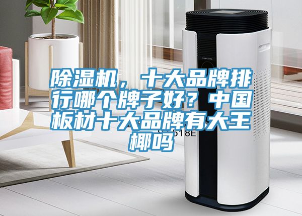 除濕機，十大品牌排行哪個牌子好？中國板材十大品牌有大王椰嗎