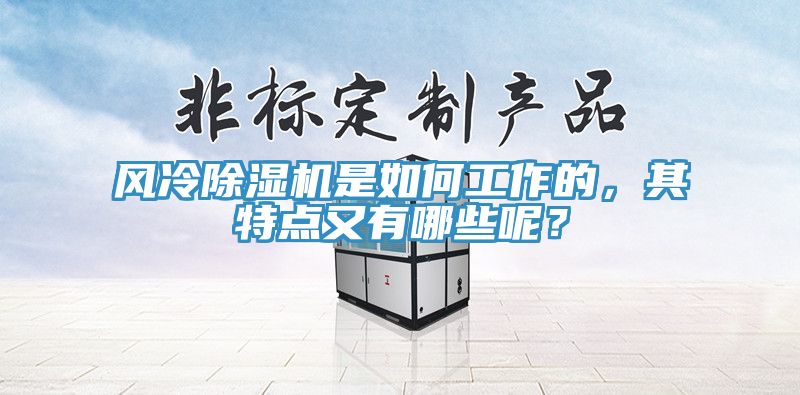 風(fēng)冷除濕機是如何工作的，其特點又有哪些呢？