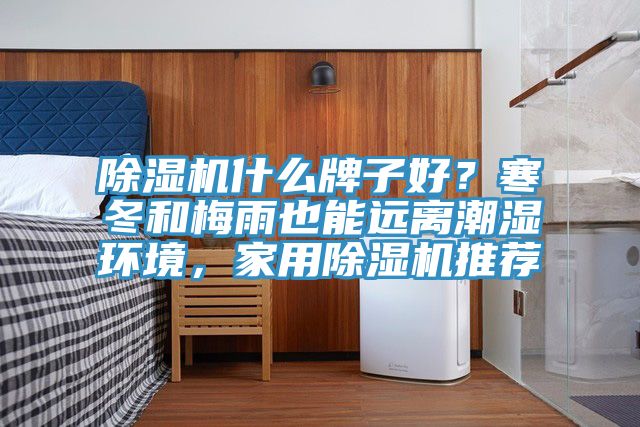 除濕機什么牌子好？寒冬和梅雨也能遠離潮濕環(huán)境，家用除濕機推薦