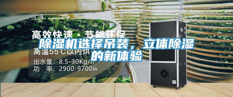 除濕機(jī)選擇吊裝，立體除濕的新體驗(yàn)