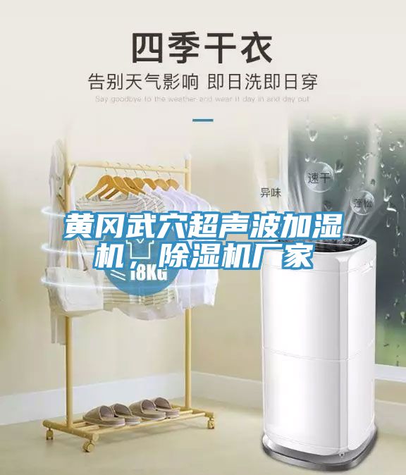 黃岡武穴超聲波加濕機，除濕機廠家