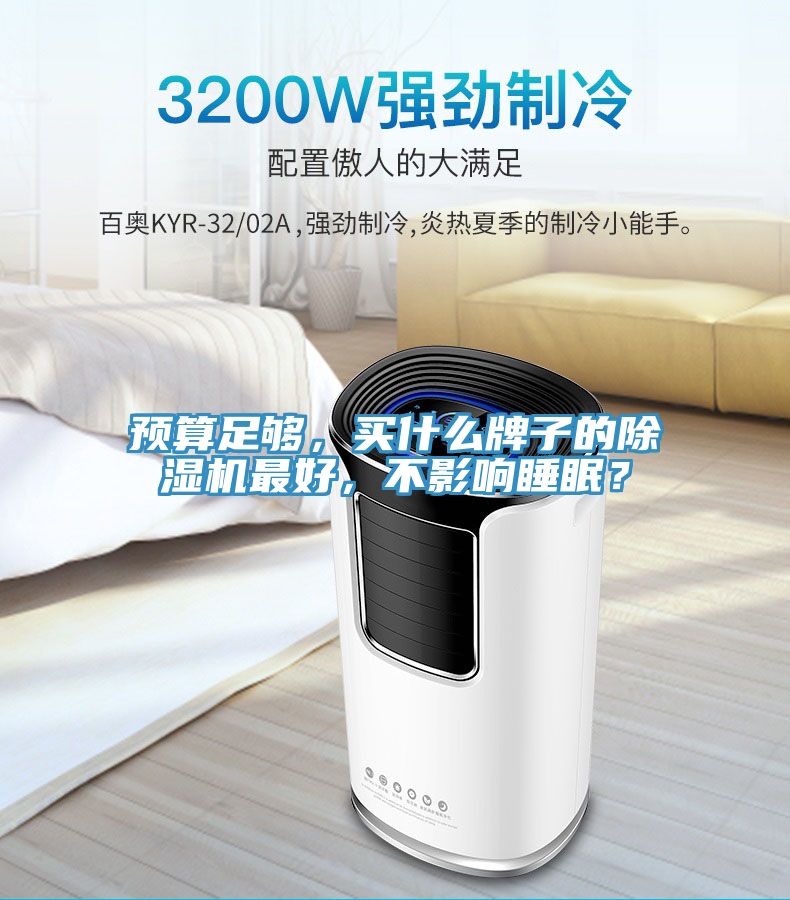 預(yù)算足夠，買什么牌子的除濕機最好，不影響睡眠？