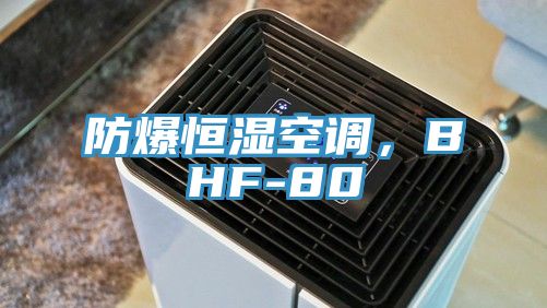 防爆恒濕空調(diào)，BHF-80