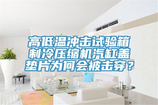 高低溫沖擊試驗(yàn)箱制冷壓縮機(jī)汽缸蓋墊片為何會被擊穿？