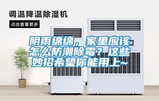 陰雨綿綿，家里應(yīng)該怎么防潮除霉？這些妙招希望你能用上~