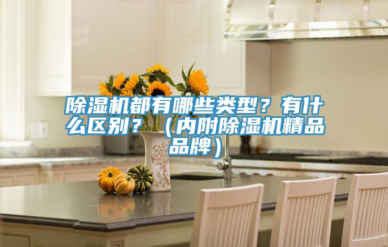 除濕機都有哪些類型？有什么區(qū)別？（內(nèi)附除濕機精品品牌）