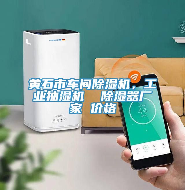 黃石市車間除濕機(jī)，工業(yè)抽濕機(jī)  除濕器廠家 價(jià)格