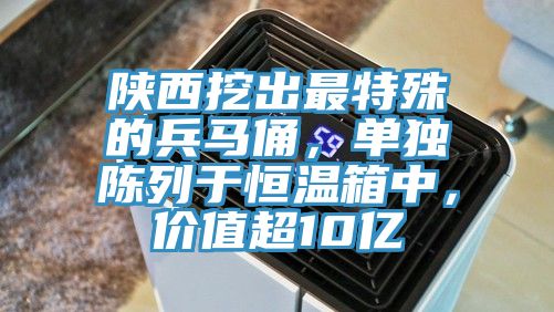 陜西挖出最特殊的兵馬俑，單獨陳列于恒溫箱中，價值超10億