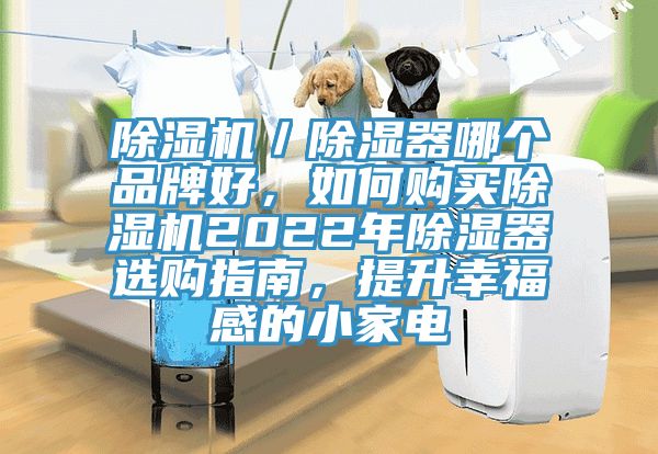 除濕機(jī)／除濕器哪個品牌好，如何購買除濕機(jī)2022年除濕器選購指南，提升幸福感的小家電