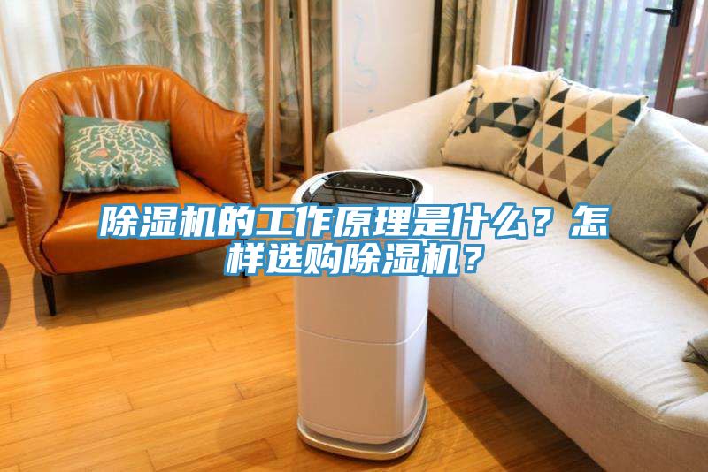 除濕機(jī)的工作原理是什么？怎樣選購(gòu)除濕機(jī)？