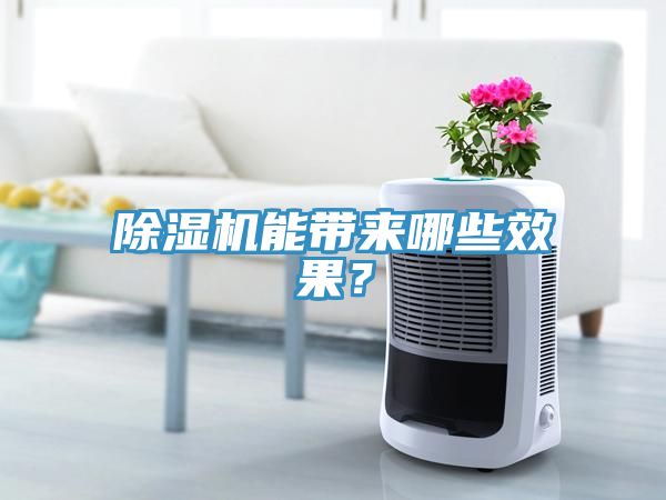 除濕機(jī)能帶來哪些效果？
