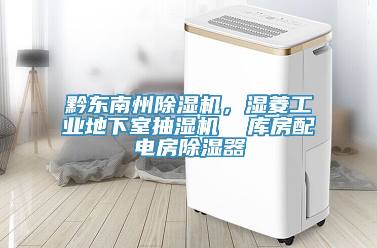 黔東南州除濕機，濕菱工業(yè)地下室抽濕機  庫房配電房除濕器