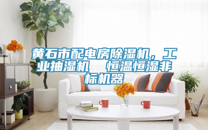 黃石市配電房除濕機，工業(yè)抽濕機  恒溫恒濕非標機器