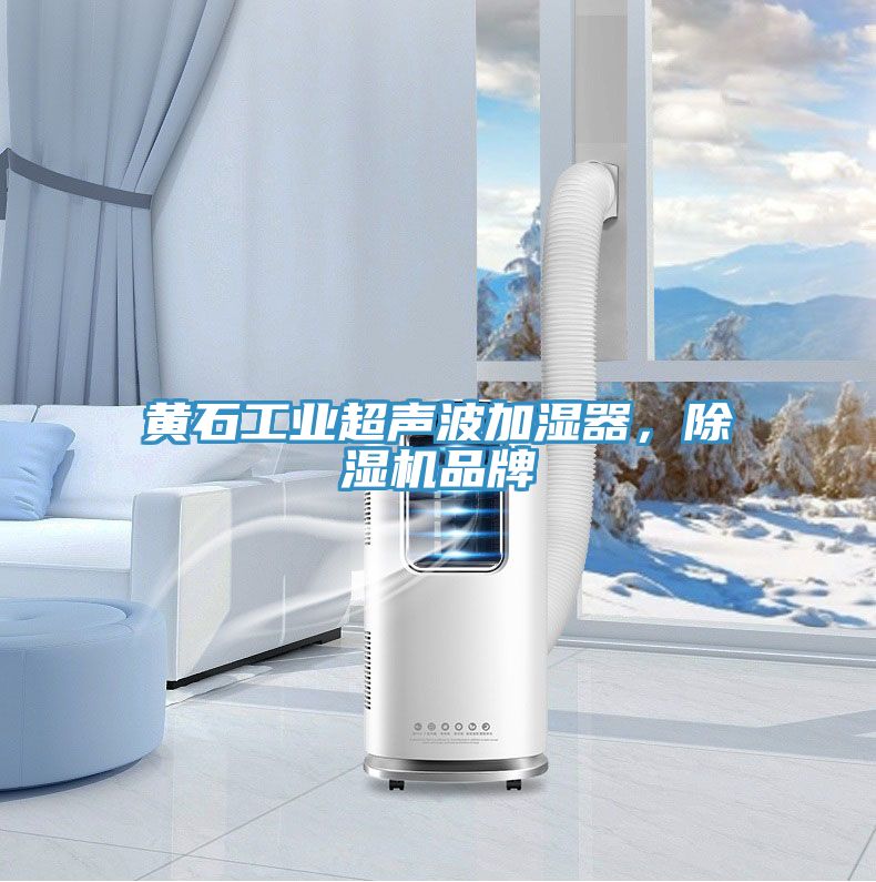 黃石工業(yè)超聲波加濕器，除濕機品牌