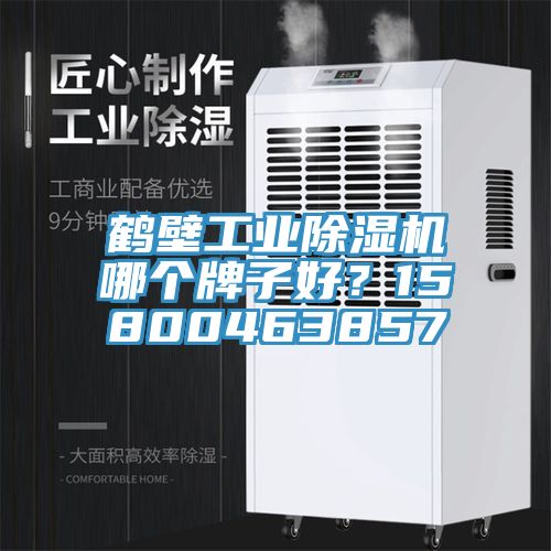 鶴壁工業(yè)除濕機(jī)哪個(gè)牌子好？15800463857