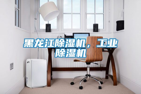 黑龍江除濕機(jī)，工業(yè)除濕機(jī)